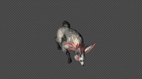 Fantasy White Fox Animation with Idle, Walk, and Run Cycles
