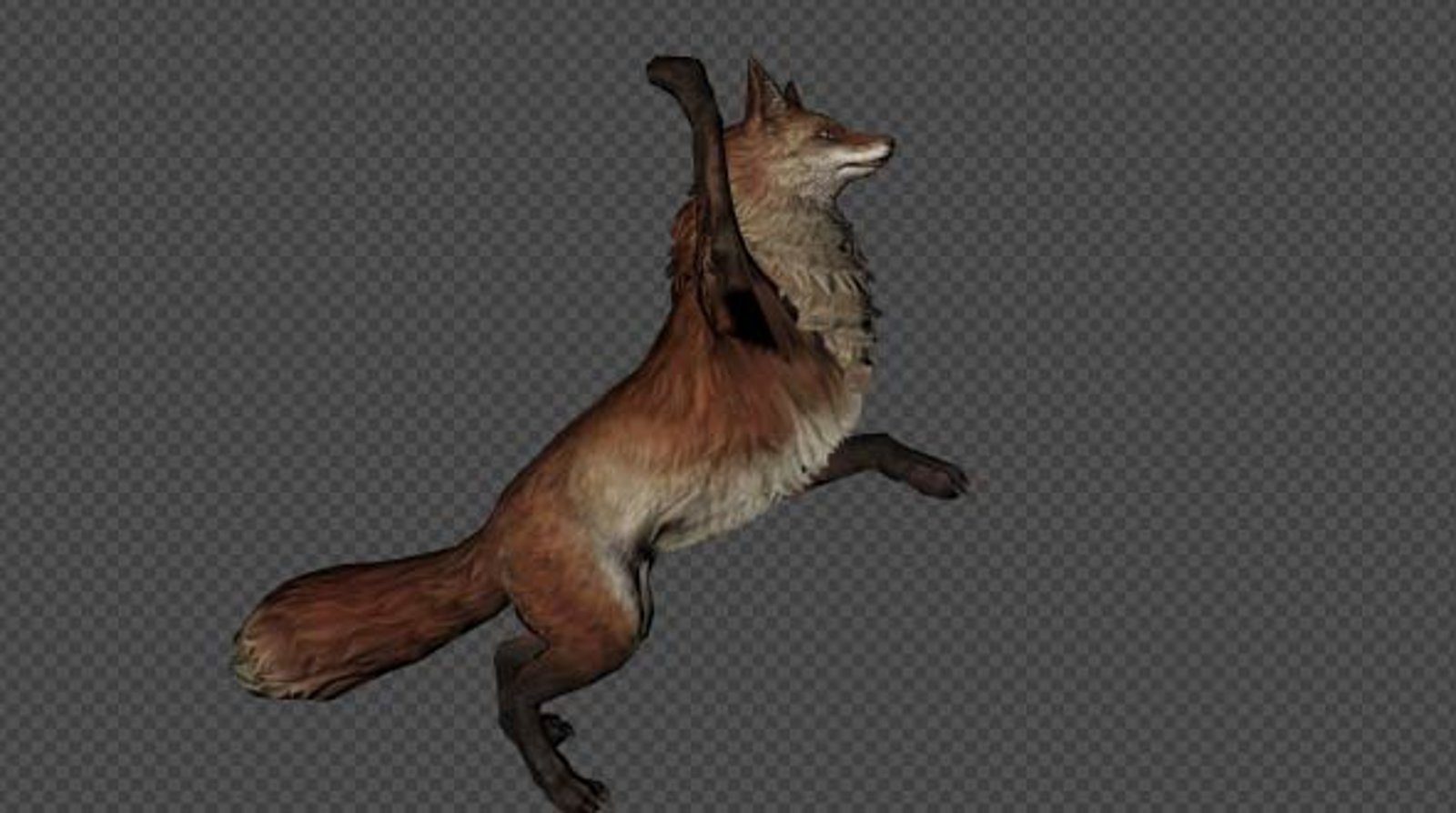Animated Red Fox Performing Multiple Actions, Elements Motion Graphics ...