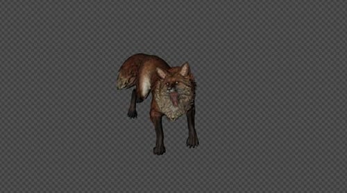 Animated 3D Fox Walking and Running on Alpha Channel