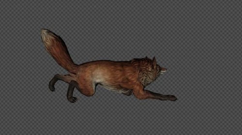 Animated 3D Red Fox with Multiple Dynamic Actions