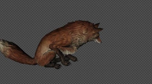 Stylized 3D Fox Animation with Prowling and Running Cycles
