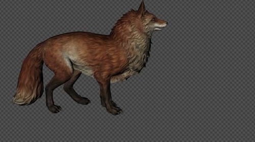 Fox Idle Pack 04 4 en 1