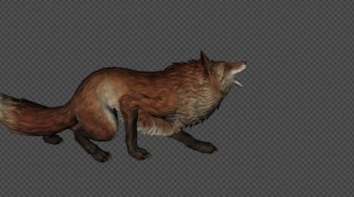 Fox Idle Pack05 4-in-1