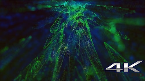 Green and Blue Particles Background