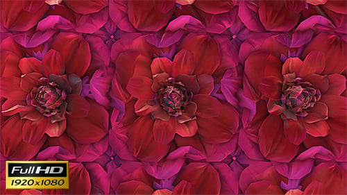 Fond de boucle de fleurs