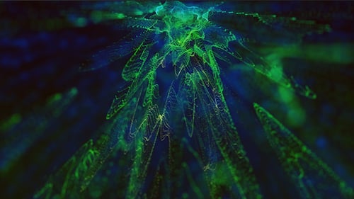 Green and Blue Particles Background