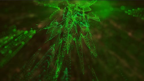 Green Particles Background