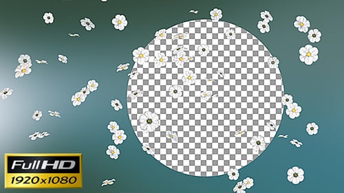 Falling White Flowers Circular Image Reveal Transition