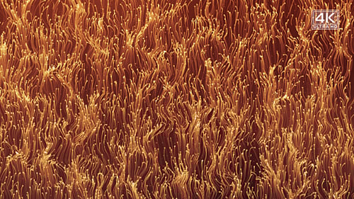 Gold Abstract Particles