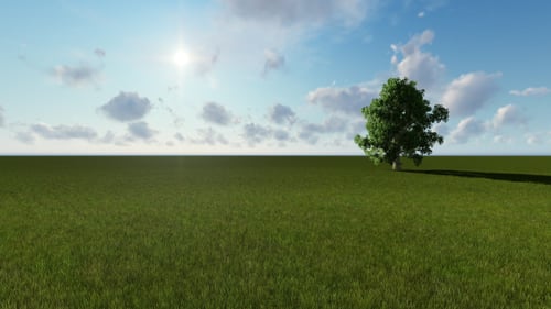 Beautiful Panning Landscape with Green Tree and Sun Flare