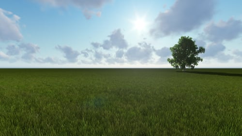 Green Field Landscape with Moving Clouds and Sunlight