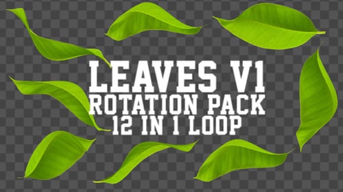 Animated Green Leaves Rotation Pack For Alpha Channel