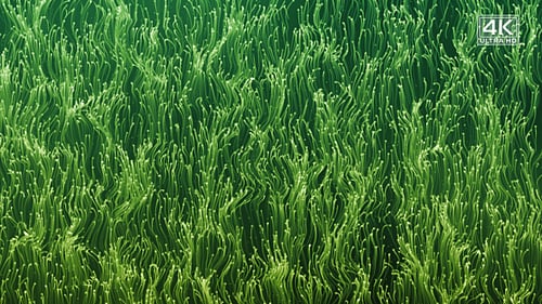 Green Abstract Particles