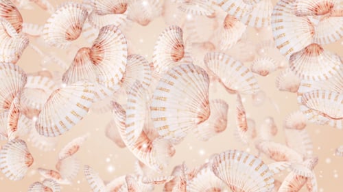 Elegant Scallop Seashells Gently Floating Loop Background