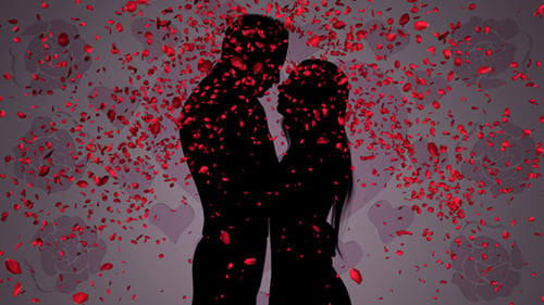 Rose Petals