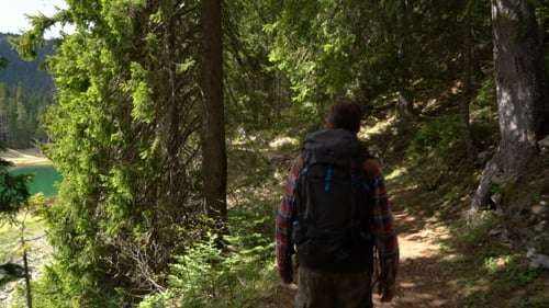 Traveler with a Backpack Walks Through the Forest