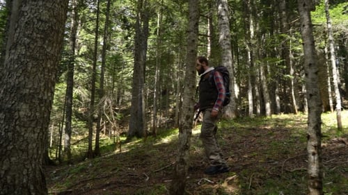 Traveler with a Backpack Walks Through the Forest