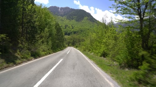 Driving a Car on a Country Road