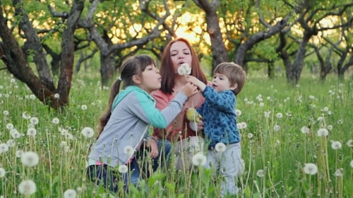 Familia jugando con dientes de león en el jardín