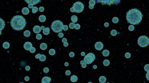 Cell The Virus Moves Chaotically