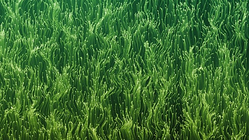 Green Abstract Particles