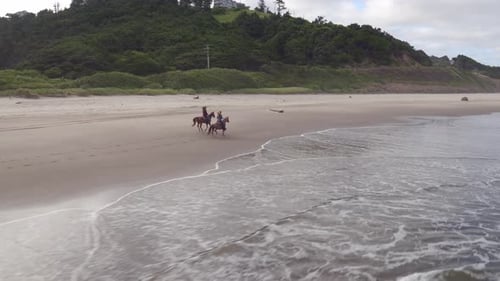 Aerial view of women riding horses at beach