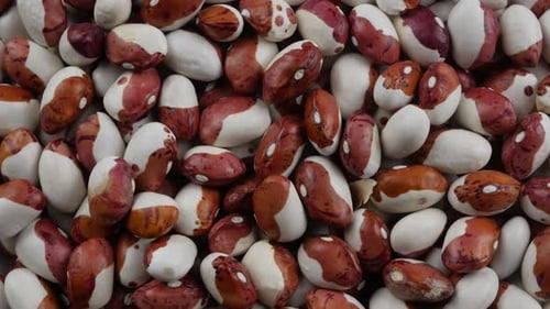 Macro Shot of Red and White Kidney Beans