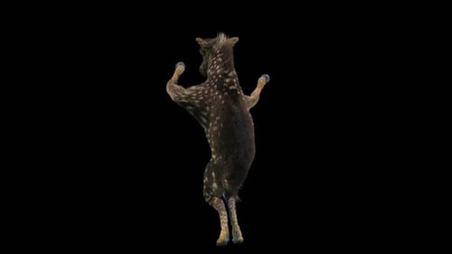 3D Animated Dancing Fawn Creature with Alpha Channel