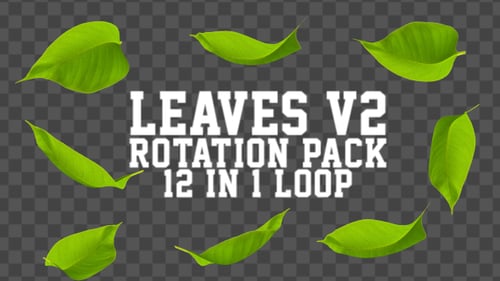 Green Leaves Rotation Pack Seamless Loop
