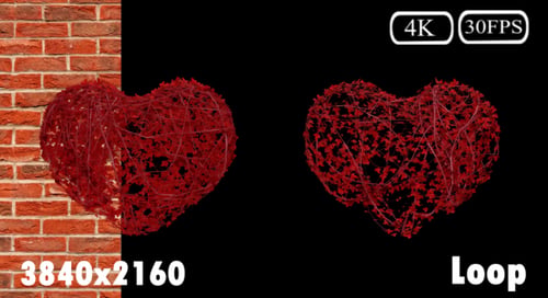 Ivy Growing Heart Packv2