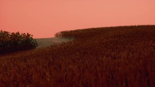 Gold Wheat Field at Sunset Landscape