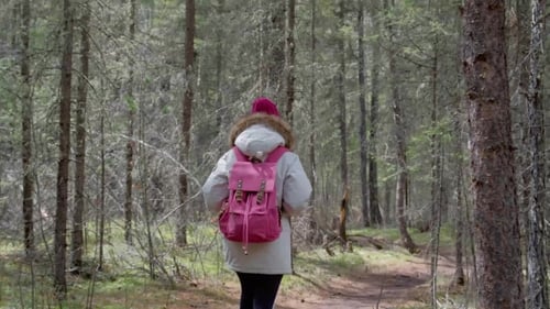 Fall Woman Backpacker Hiking on the Path in the Forest Mountains During Autumn. 20s .