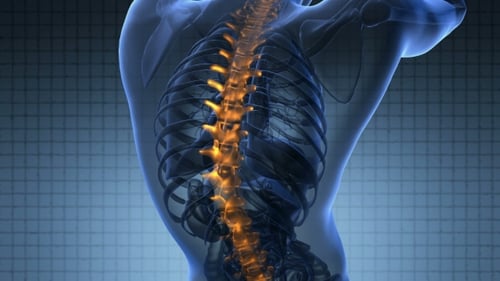 Human Spine Anatomy Animation with Glowing Vertebrae