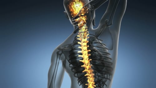 Backache in Back Bones