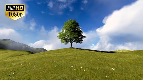 Tree On Hill