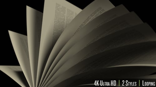 Book Pages Flipping Seamless Loop Animation
