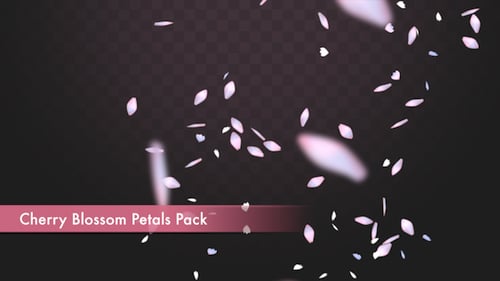 Cherry Blossom Petals Pack