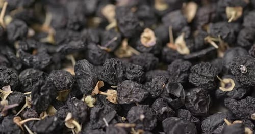 Lycium ruthenicum sec