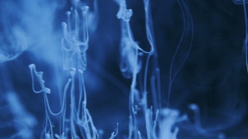 Abstract Ink Spreads Gently in Water