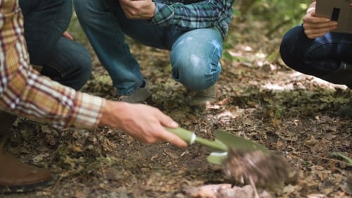 Researchers Collect Soil Samples in Sunny Forest
