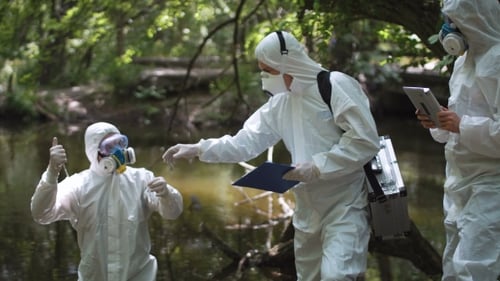 Scientists Testing Water Quality in Forest Stream