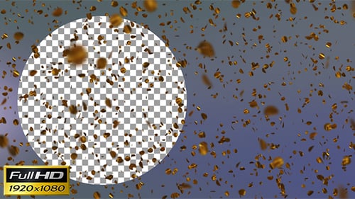 Confetti Falling