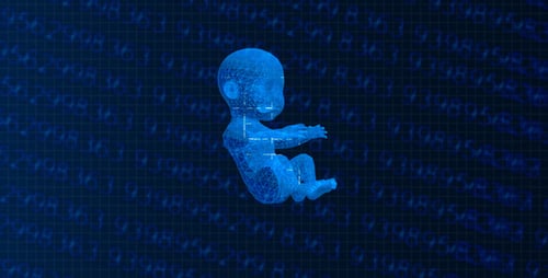 Futuristic 3D Wireframe Baby Scan Holographic Animation