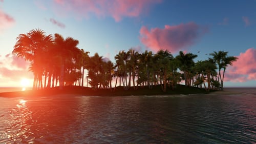 Sonnenuntergang Palm Island und Vögel