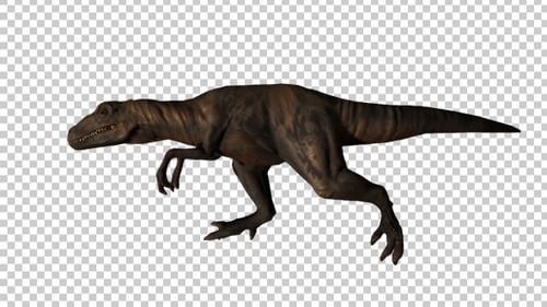 Running Tyrannosaurus Rex 3D Animation with Alpha Channel