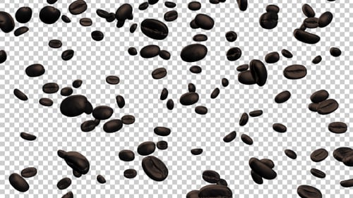 Falling Roasted Coffee Beans Animation