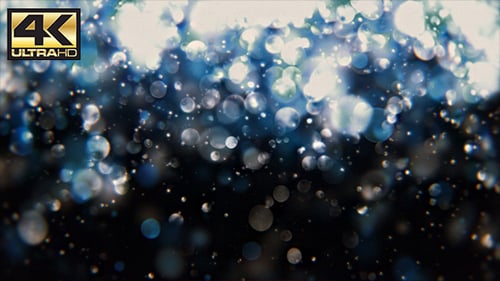 Abstract Blue Bokeh Particles Dynamic Background Animation
