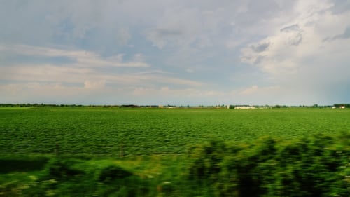 View From the Car Window - Drive Through the Picturesque Countryside and Fields