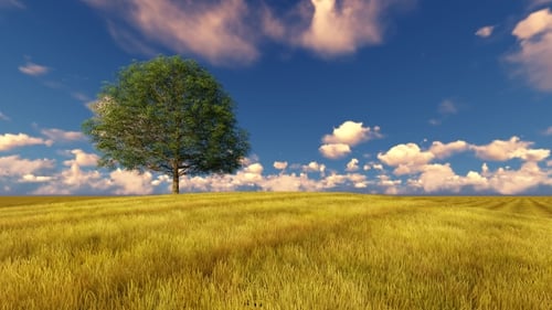 Green Tree on Field Windy Cloudy Sky