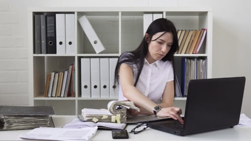 Business Woman in Office